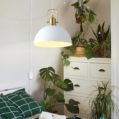 Plug in Pendant Light