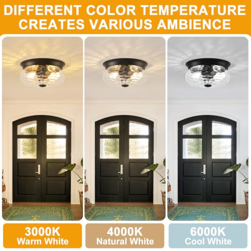 Black Flush Mount Ceiling Light Fixtures (Matte Black-Clear Hammered Glass(No Assembly Required))