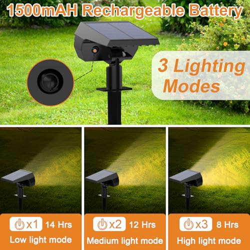 Solar Light Outdoor (2 Count)