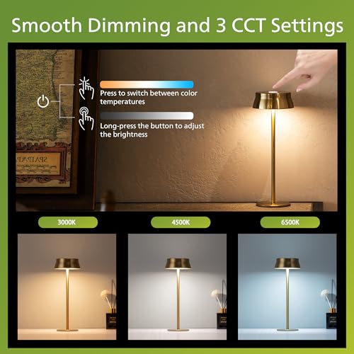 Cordless Table Lamp (2 Count)