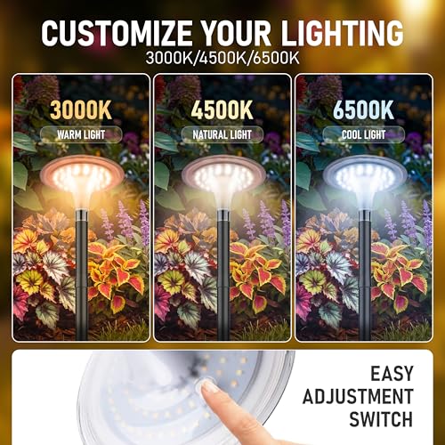 Solar Pathway Lights 8 Pack (8 Count)