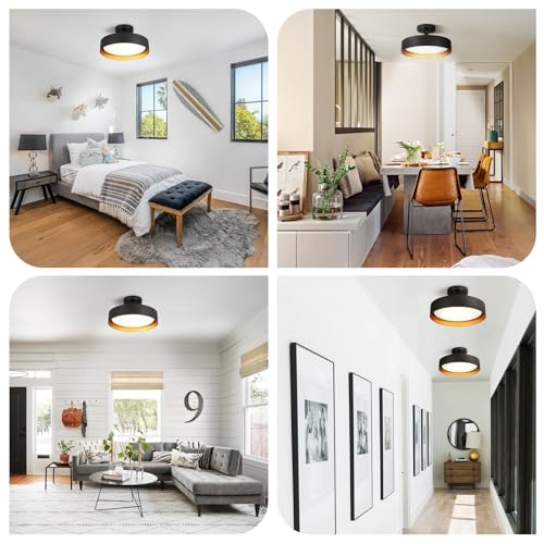 Semi Flush Mount LED Ceiling Light 5000K