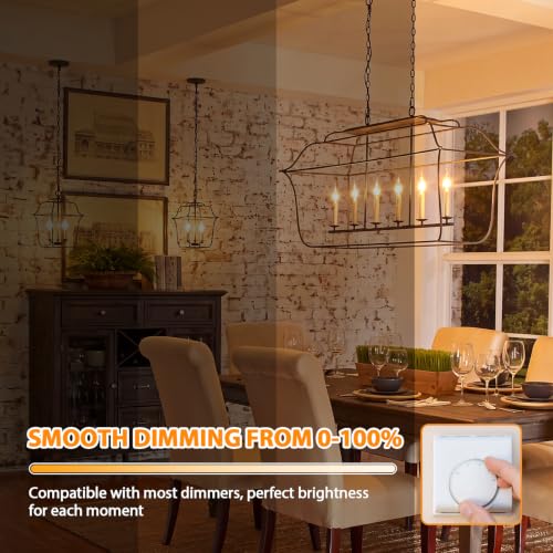 Dimmable E12 Candelabra LED Light Bulbs 40W Equivalent (12 Count)