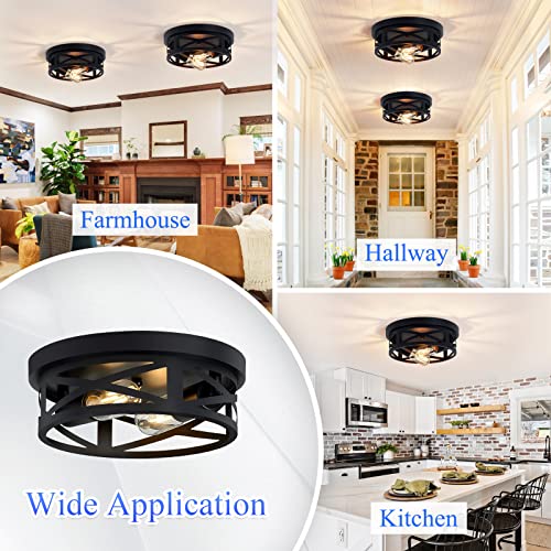 Flush Mount Ceiling Light Fixture (2 Count)