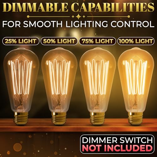 4 Pack Vintage Edison Bulbs (4 Count)
