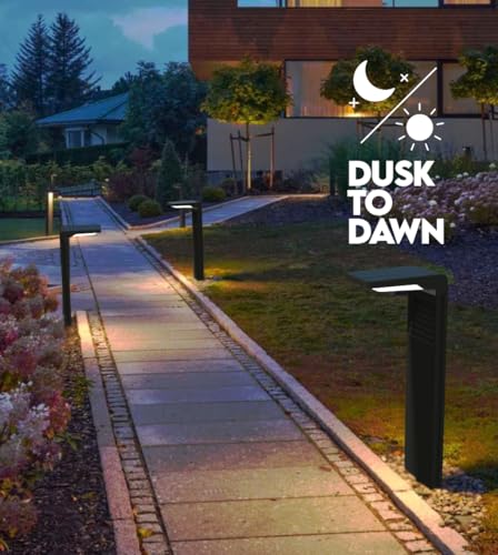 6 Pack Solar Pathway Lights (6 Count)