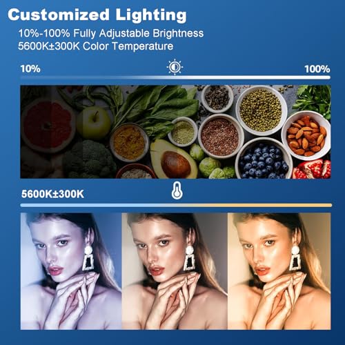2pcs Godox SL60W LED Video Light Kit with Softbox (2 Count)