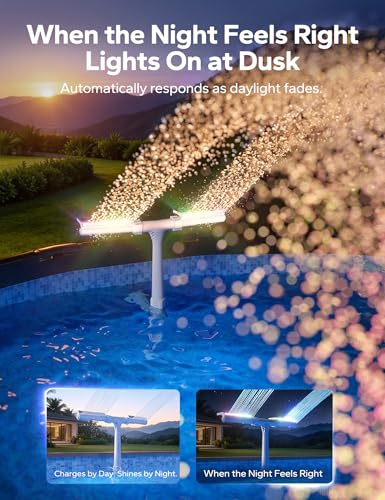 Solar Pool Fountain with 10