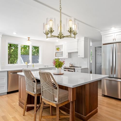 D19.8" Chandelier for Dining Room