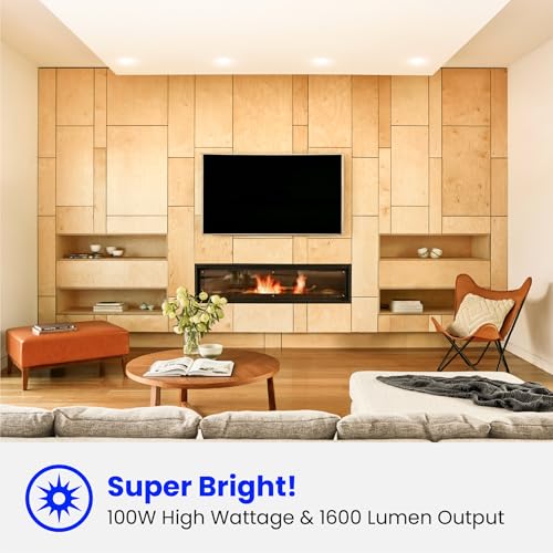 BR30 LED Light Bulbs (6 Count)