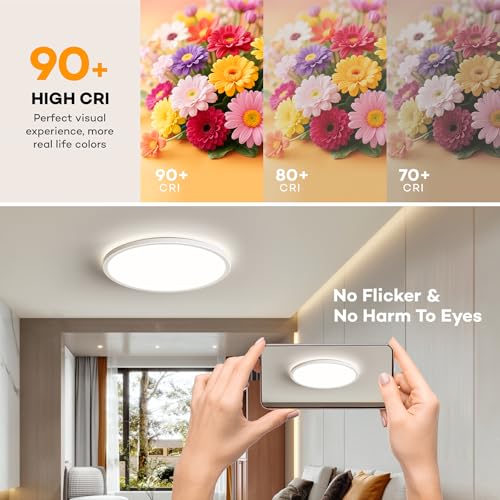 LED Flush Mount Ceiling Light Fixture with Remote Control (2 Count)