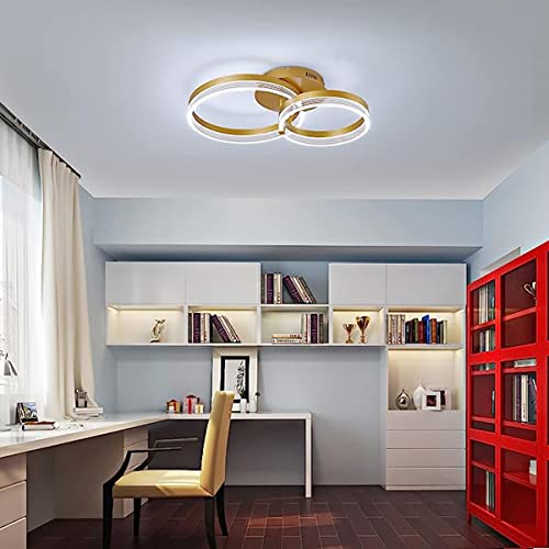 Chaners Ceiling Light Acrylic Ring Ceiling Light LED with Remote Control Dining Room Bedroom Lamp Living