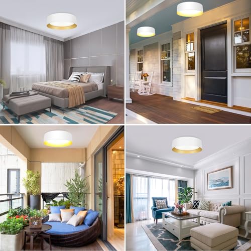 Flush Mount Ceiling Light