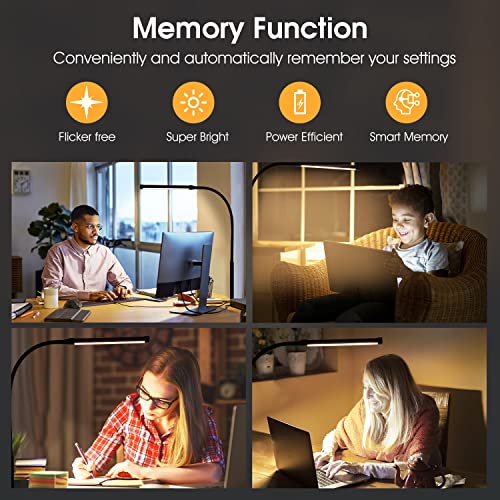 LED Desk Lamp with Clamp