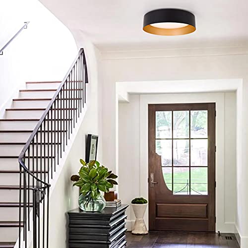 Flush Mount Ceiling Light
