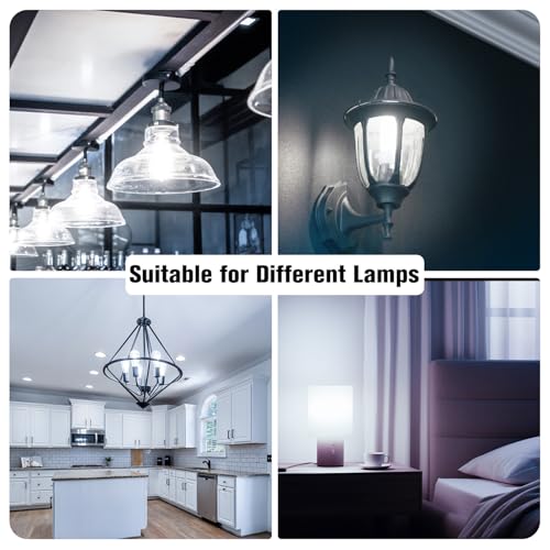 10 Pack LED Lights (10 Count)