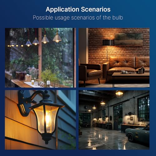 100W Equivalent LED Edison Bulbs (4 Count)