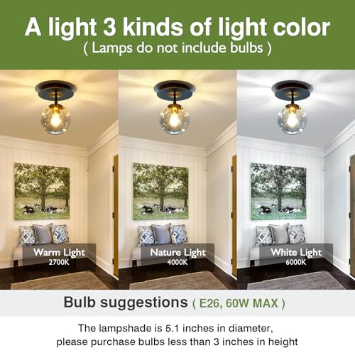 1 Light Mini Glass Globe Ceiling Light