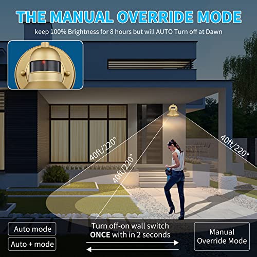 Dusk to Dawn Motion Sensor Outdoor LED Barn Light Fixture Gold