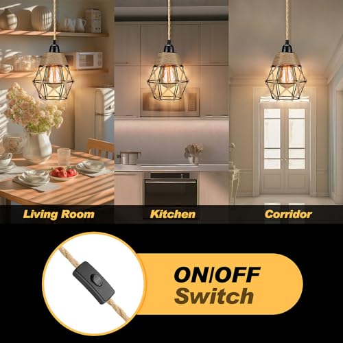 Plug in Pendant Light