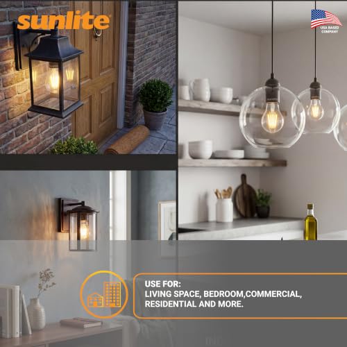 41613 LED Edison A19 Light Bulb (6 Count)