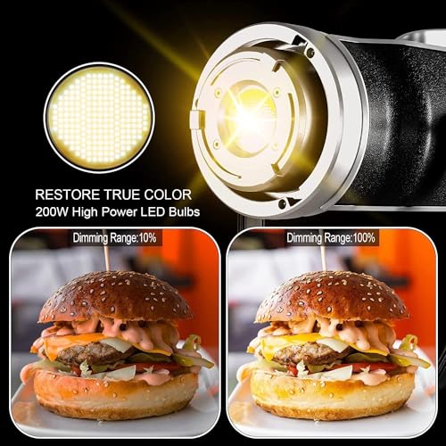 GVM 200W LED Video Light with Lantern Softbox