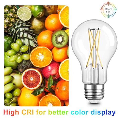 A19 LED Edison Light Bulb (12 Count)