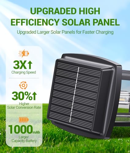 Solar Pathway Lights Outdoor (4 Count)