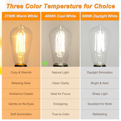 12 Pack Vintage LED Edison Light Bulb 60W Equivalent (12 Count)