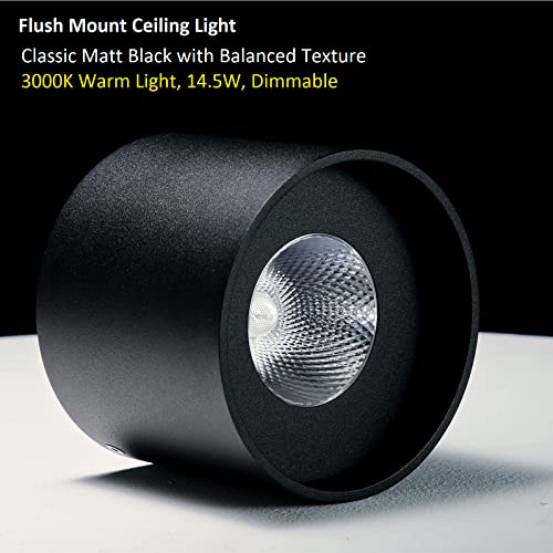 Ceiling Light Fixture (2 Count)