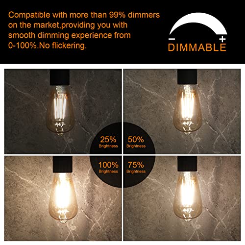 LED Edison Bulbs