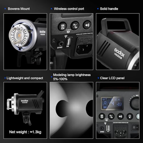 MS300V 2 Pack Professional Studio Strobe Flash Light 300W Studio Flash Strobe kit 300W GN58 0.1 (2 Count)