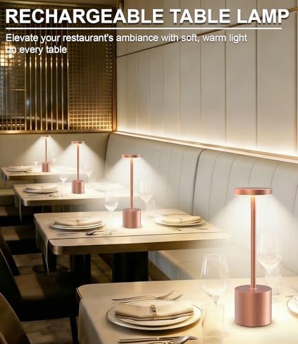 Cordless Table Lamps Rechargeable Set of 2