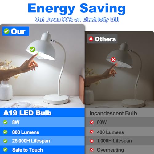 A19 Vintage LED Edison Light Bulbs (12 Count)