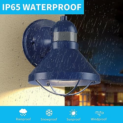 Motion Sensor Outdoor LED Wall Sconce Dusk to Dawn Exterior Barn Lighting