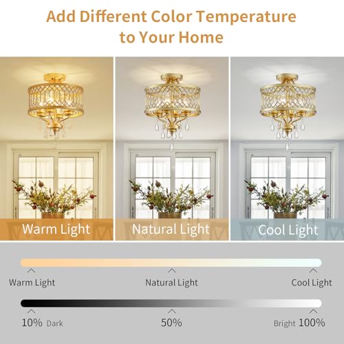 Crystal Ceiling Light Fixture