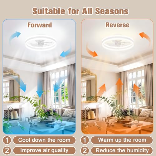 Fandelier Ceiling Fans with Lights and Remote