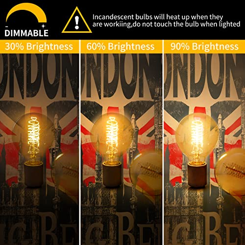 G25 Globe Edison Bulbs (6 Count)