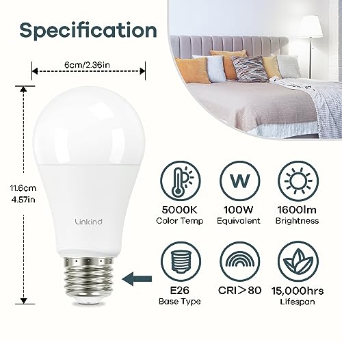 A19 LED Light Bulbs (6 Count)