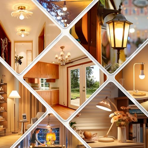 12 Pack A19 LED Light Bulb (12 Count)