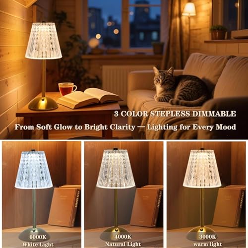 2 Pcs Cordless Rechargeable Table Lamp