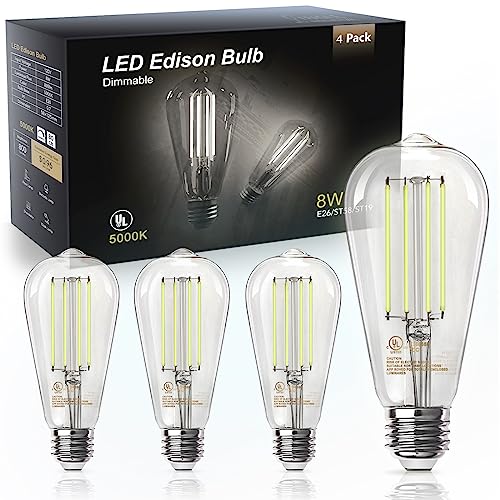 4 Pack Edison LED Light Bulbs (4 Count)