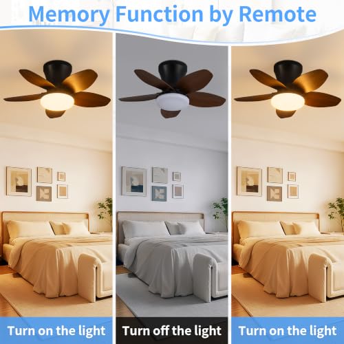25" Small Ceiling Fans with Lights & Remote (Dark Brown)