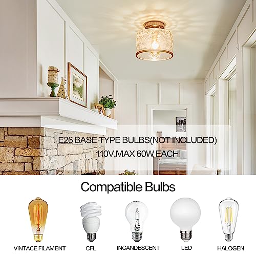 Modern Semi Flush Mount Ceiling Light with Industrial Clear Hammered Glass Lampshade