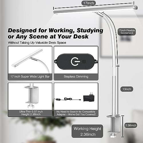 LED Desk Lamp with Clamp