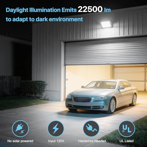 LED Wall Pack Light (2 Count)