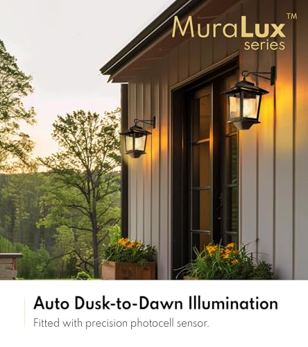 2 Pack Solar Wall Lanterns (2 Count)
