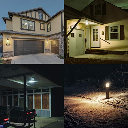 Motion Sensor Light Bulbs Outdoor (2 Count)