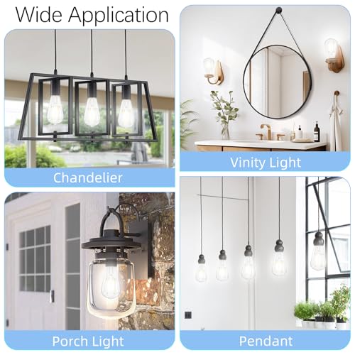 Dimmable LED Edison Bulb (6 Count)