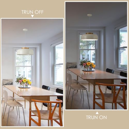 Modern Large Pendant Light